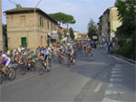 gal/2005/2005-10 Fondo Valdarbia 2005/1 - Partenza/_thb_CIMG0336-01.jpg